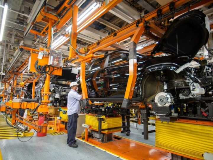 Greve linha Tracker